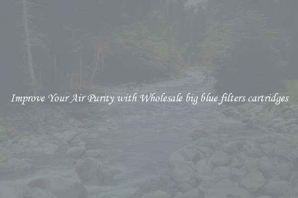 Improve Your Air Purity with Wholesale big blue filters cartridges
