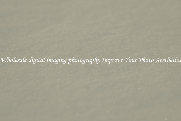 Wholesale digital imaging photography Improve Your Photo Aesthetics