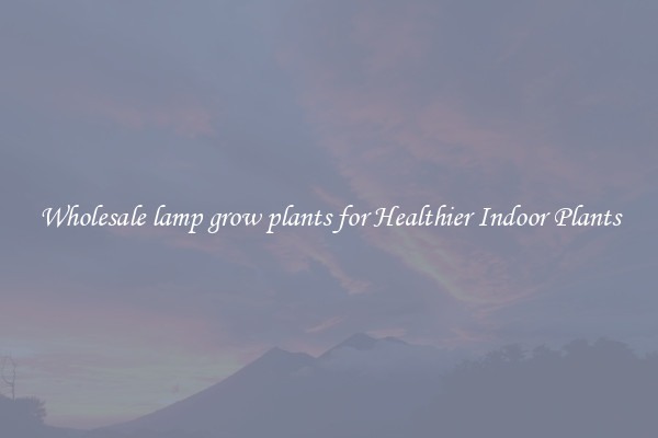 Wholesale lamp grow plants for Healthier Indoor Plants