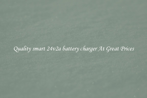 Quality smart 24v2a battery charger At Great Prices