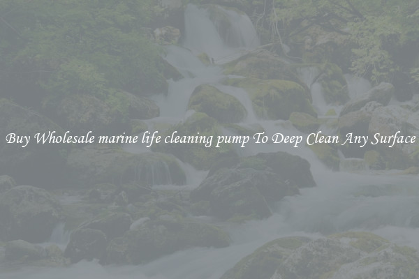 Buy Wholesale marine life cleaning pump To Deep Clean Any Surface