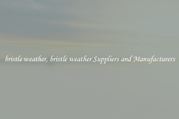 bristle weather, bristle weather Suppliers and Manufacturers