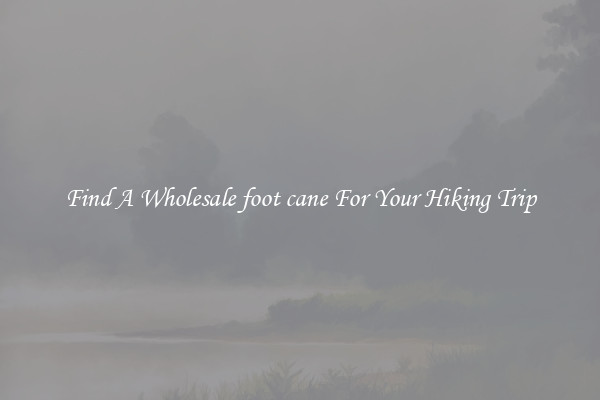 Find A Wholesale foot cane For Your Hiking Trip