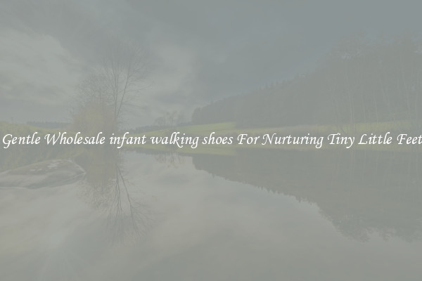Gentle Wholesale infant walking shoes For Nurturing Tiny Little Feet