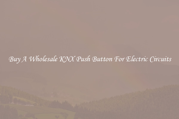 Buy A Wholesale KNX Push Button For Electric Circuits