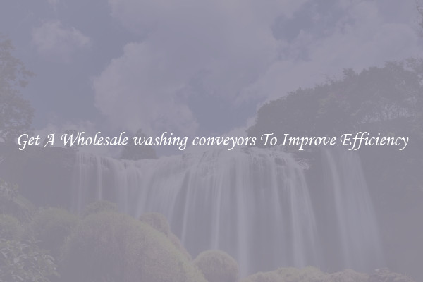 Get A Wholesale washing conveyors To Improve Efficiency