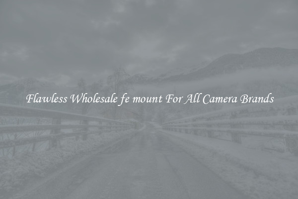 Flawless Wholesale fe mount For All Camera Brands