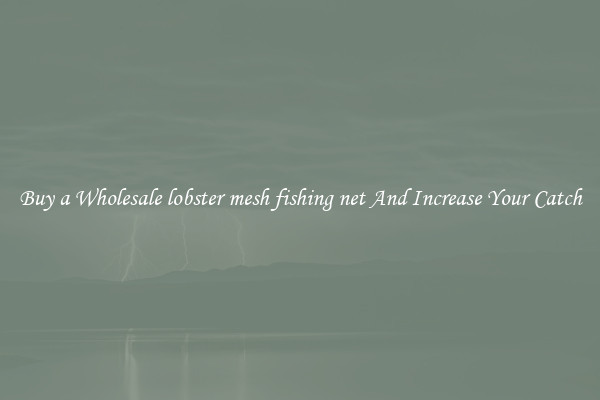 Buy a Wholesale lobster mesh fishing net And Increase Your Catch