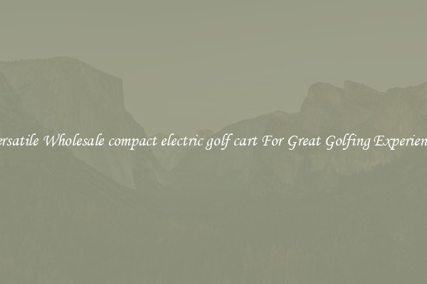 Versatile Wholesale compact electric golf cart For Great Golfing Experience 