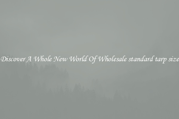 Discover A Whole New World Of Wholesale standard tarp size