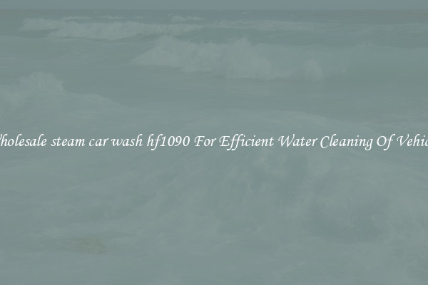 Wholesale steam car wash hf1090 For Efficient Water Cleaning Of Vehicles