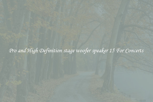 Pro and High Definition stage woofer speaker 15 For Concerts 
