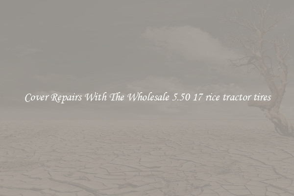  Cover Repairs With The Wholesale 5.50 17 rice tractor tires 
