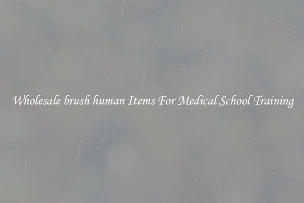 Wholesale brush human Items For Medical School Training