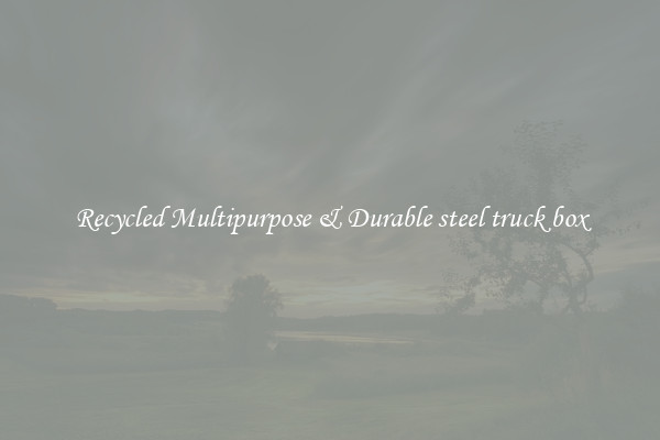 Recycled Multipurpose & Durable steel truck box