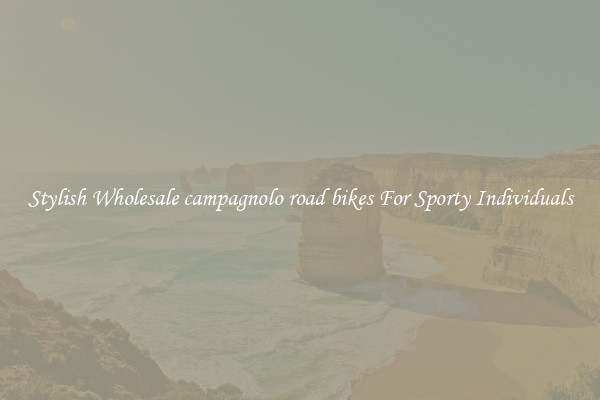 Stylish Wholesale campagnolo road bikes For Sporty Individuals