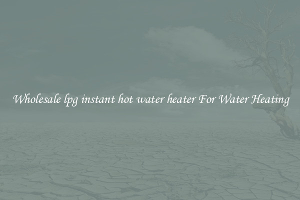 Wholesale lpg instant hot water heater For Water Heating